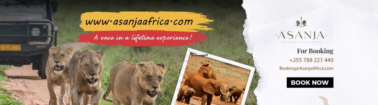 Asanja Africa