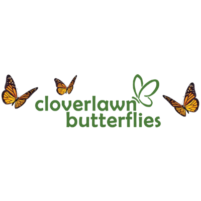 Cloverlawn Butterflies